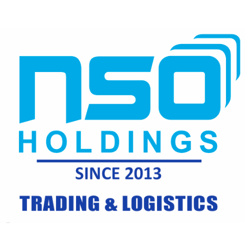 NSO Holdings Logo
